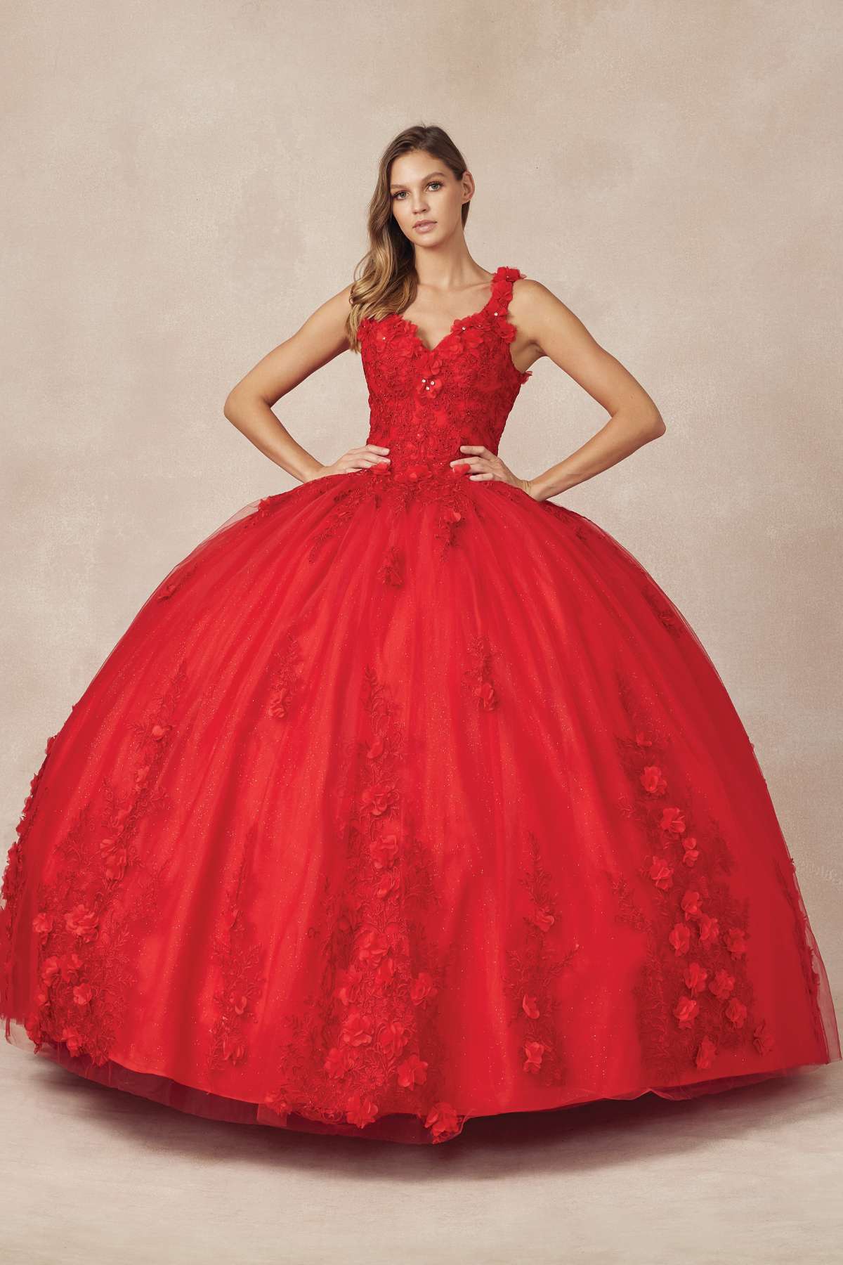 Juliet 1437 Floral Applique Quinceanera Ball Gown With 3D Flowers