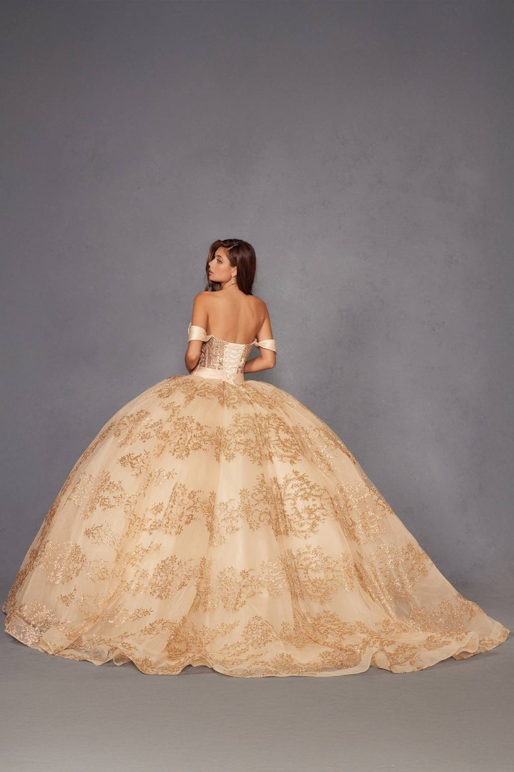 Juliet JT1488H Royal Princess A-Line Ball Gown Quinceanera