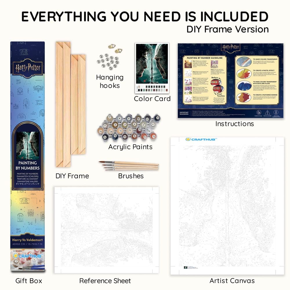 Harry vs Voldemort - Paint By Numbers Kit