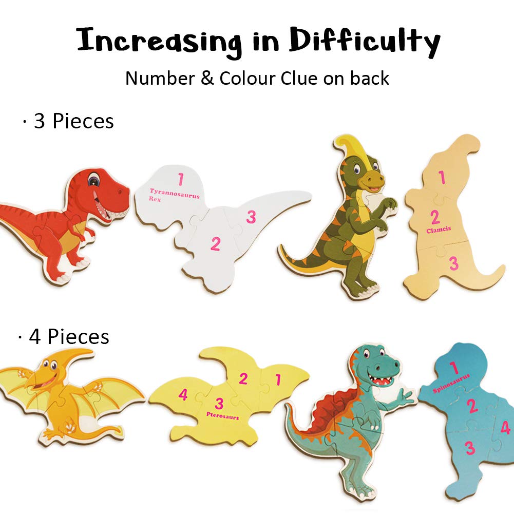 Wonderful Dinosaur 8 Floor Puzzles and Giant Map