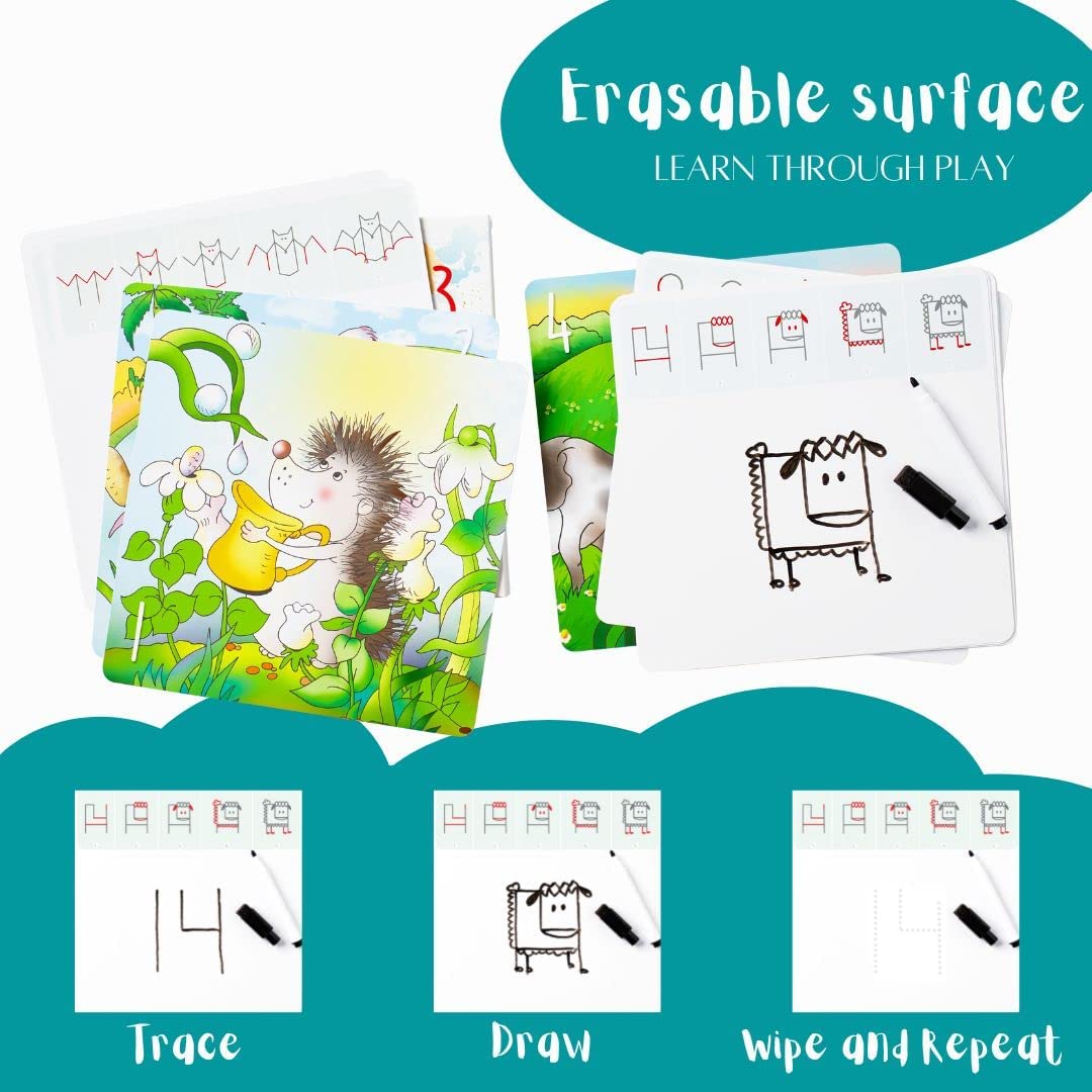Learn2Draw Animal Cards