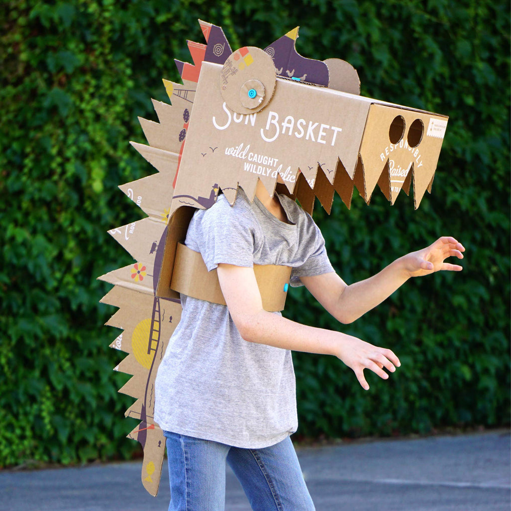 Invent JNR Cardboard