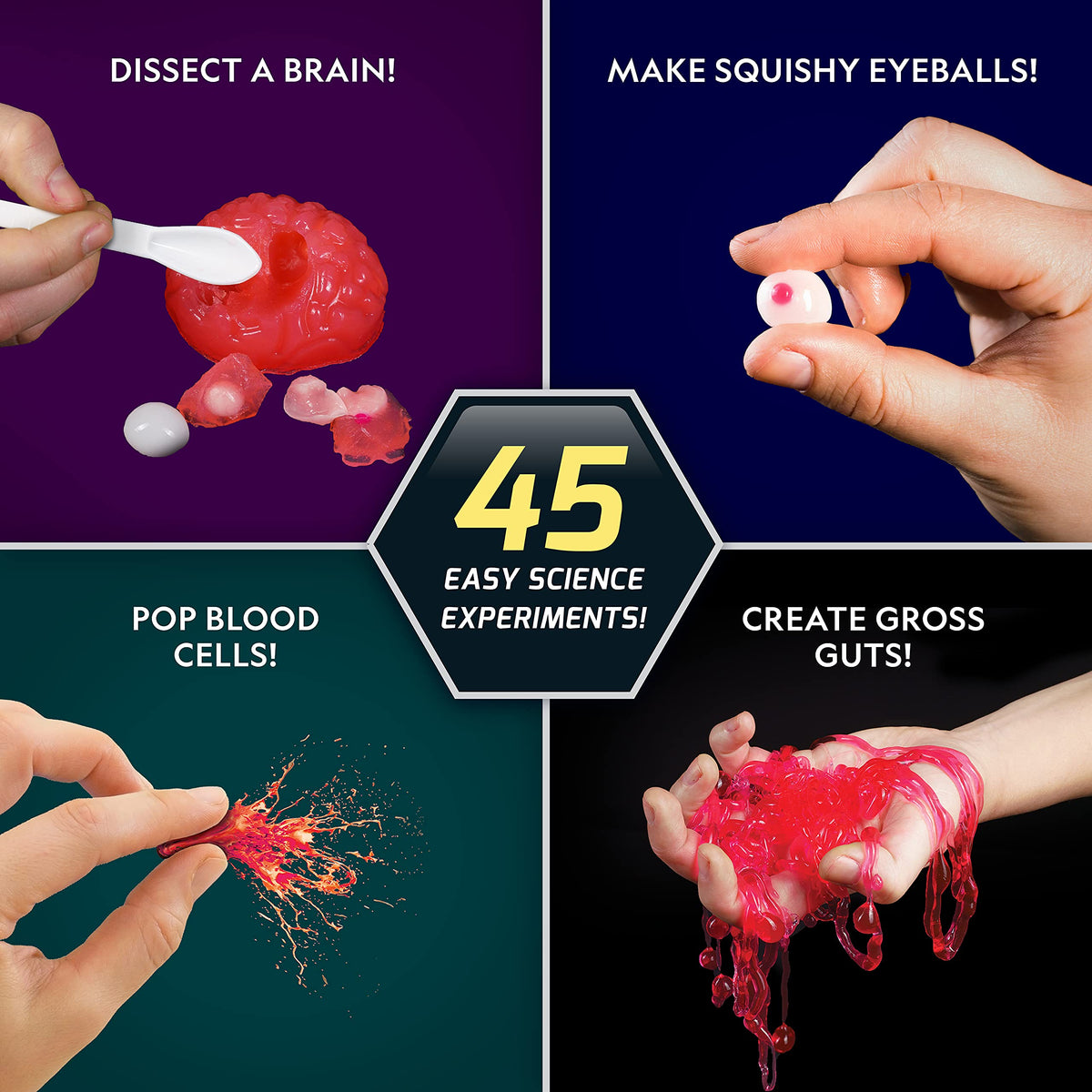 The Gross Science Experiments Lab