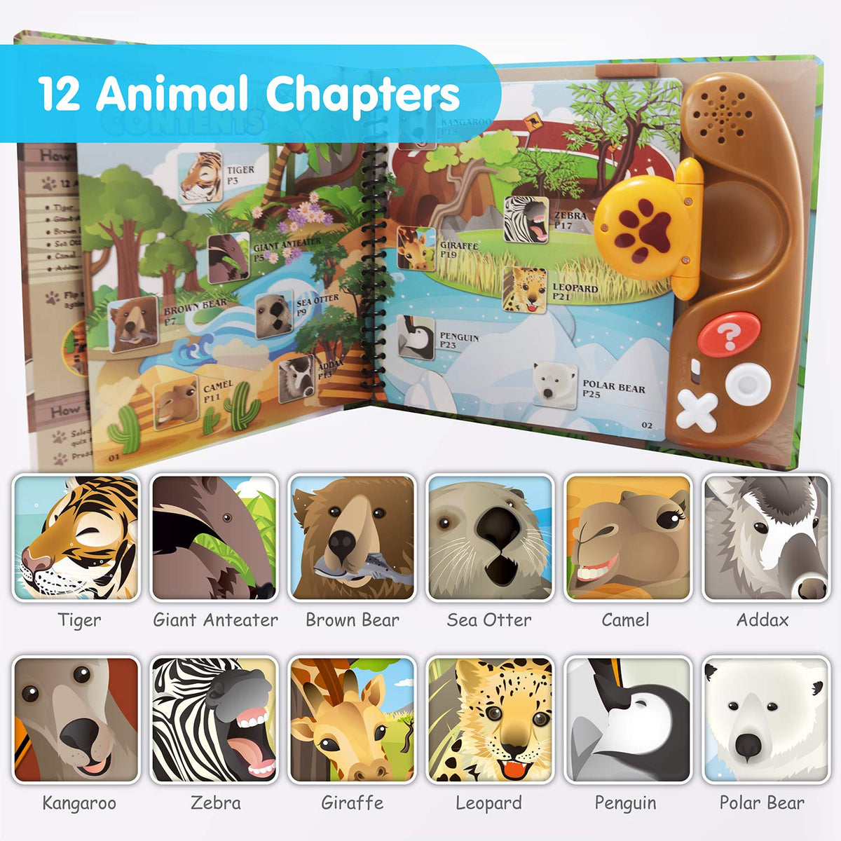 Flip N Read Animal Kingdom Reader