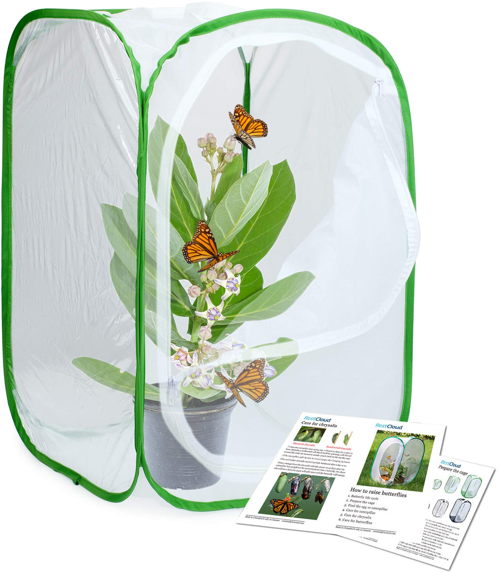 Pop-up Butterfly Habitat Terrarium