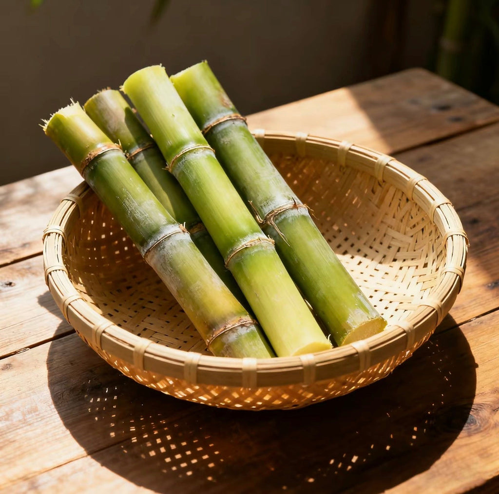 SweetHarvest Sugarcane Seeds