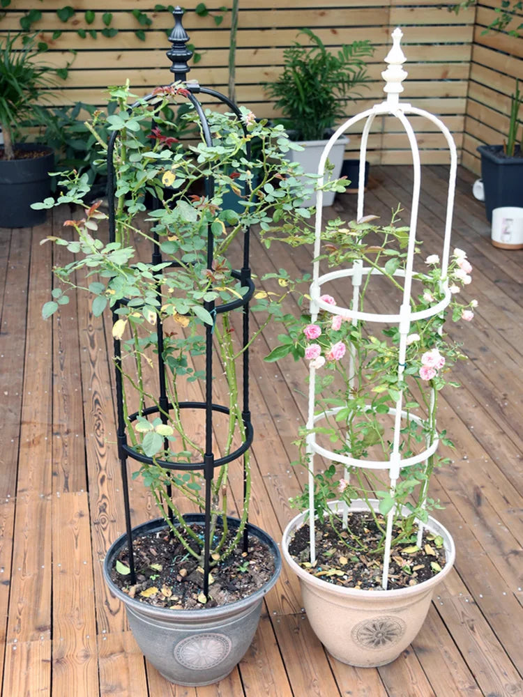 Plant Climbing Supporter Climbing Plant Support  Frame Outdoor Flower  Vines Pot Stand Garden Climbing Frame Indoor Floral Decor