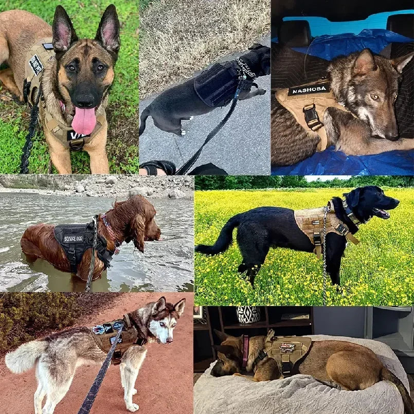 Tactical Dog Harness Leash Collar Molle Pouches for Medium Large Dogs Training Military Pet Vest Adjustable Service Dog Harness
