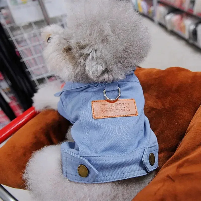 Clothing for Dog Suit Dogs Dress Dachshund Puppy Clothes Corgi Medium Hoodie Costume Pet Accessories Coat Small Breeds Summer