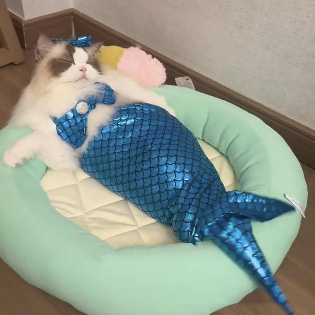 Cat Mermaid Costume Creative Cat And Dog Costumes Funny Cat Mermaid Costume Cat Mermaid Fishtail Dress Puppy Mermaid Fishtail Dress Pet Mermaid Costume Humor Funny Photo Props