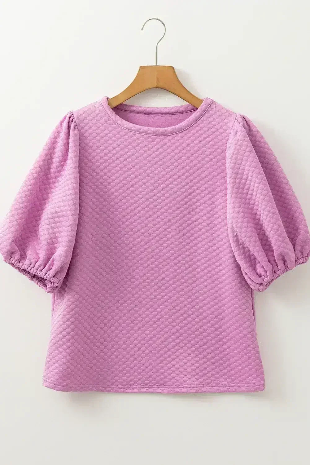 Phalaenopsis Solid Textured O Neck Puff Sleeve Blouse | Femstylo